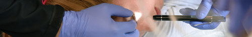 Évaluation clinique n° 1 : systèmes respiratoire et neurologique